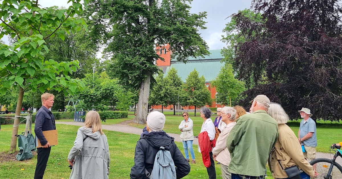 Trädvandring i Linnéparken, Växjö